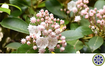 What is Self-Compassion?